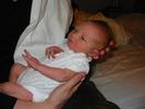 img 0227